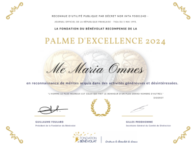 Diplome les Palmes du Benevolat