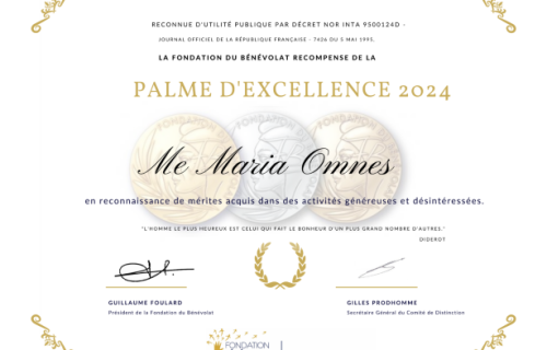 Diplome les Palmes du Benevolat